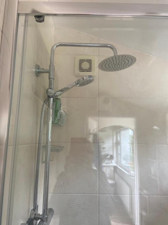 a shower with a glass door in a bathroom at Barrow Harbour studio apartment in Tralee