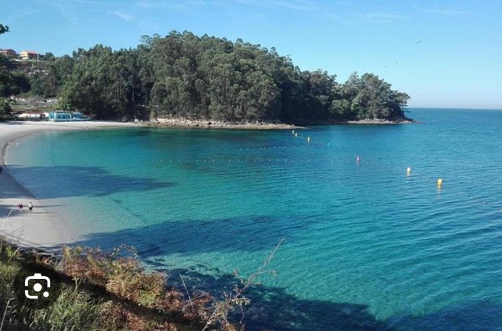 a view of a beach with trees and the water at Apartamento Patiño en Marín in Marín
