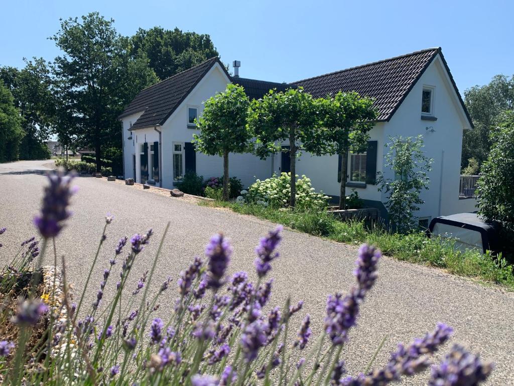 una casa con flores púrpuras delante de ella en Luxury Guest House - Eik aan de dijk en Aalst