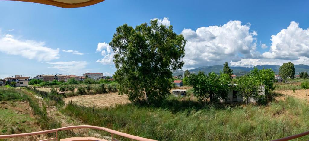 Příroda nedaleko apartmánu