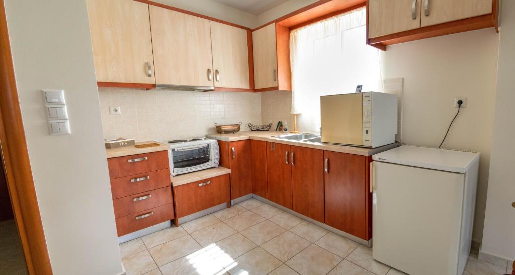 Kuchyň nebo kuchyňský kout v ubytování Gallery Suites ''Artemis''