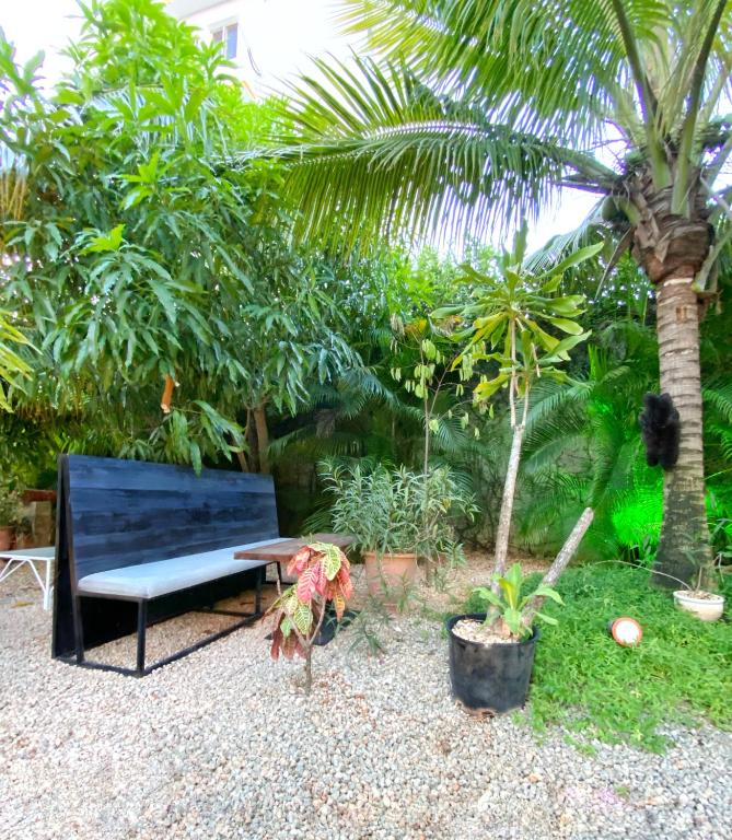 Gallery image of Green Oasis Hotel in La Romana