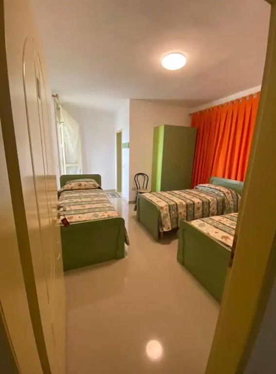 Qerana's rooms: Corner of nature - Image 2