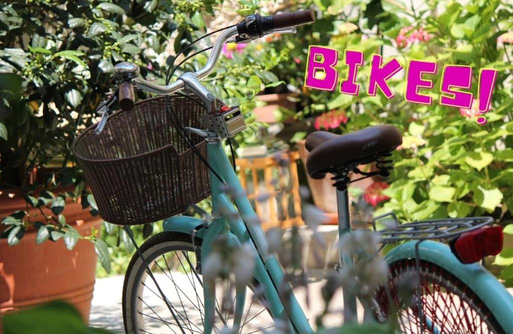 Il Cortile di Elisa & our flats - 19