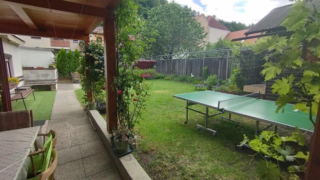 Stolní tenis v ubytování Steinadler apartman Dog-friendly, quiet, garden house with private parking and beautiful views - Kertes apartman egy szoba áráért nebo okolí