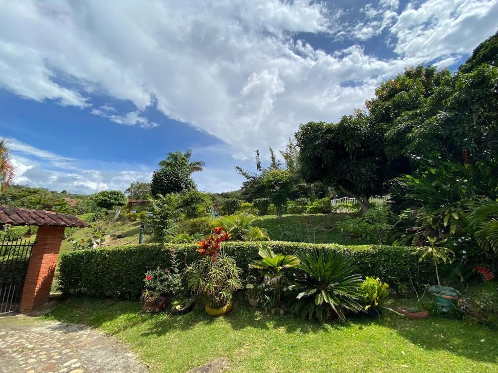 A garden outside El Mortiño