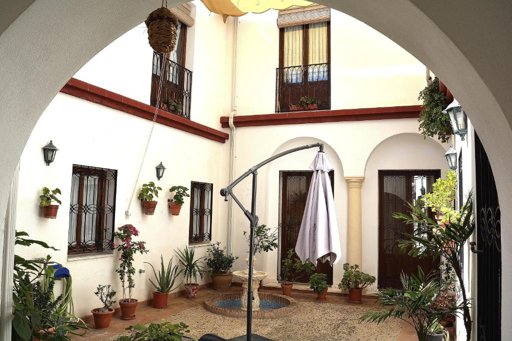 een binnenplaats met een paraplu en potplanten bij Casa Libélula Blanca Córdoba in Córdoba