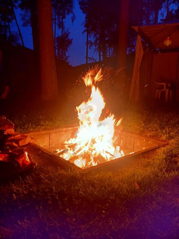 Fotografie z fotogalerie ubytování Barnaba Domki v destinaci Pobierowo
