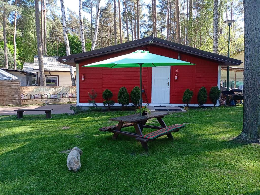 Zahrada ubytování Barnaba Domki