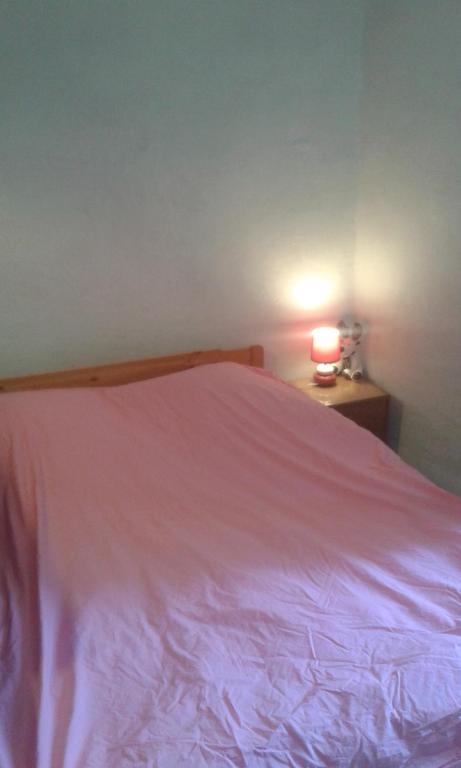 a bedroom with a pink bed with a lamp on a night stand at Studio VILLAGE 2ème étage in Entrecasteaux