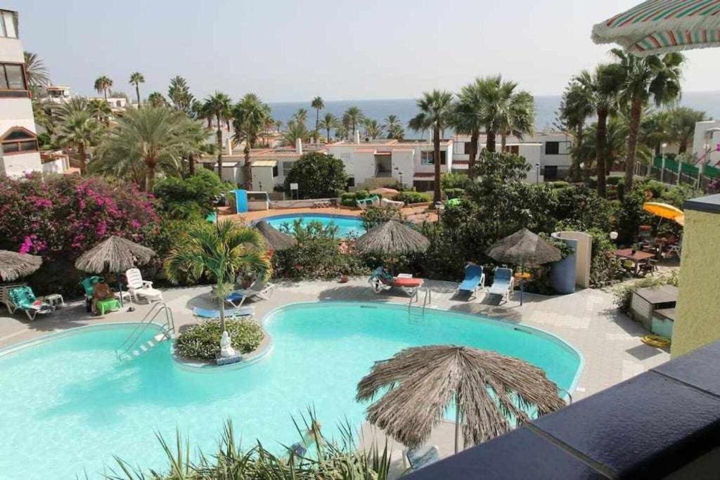 an overhead view of a swimming pool with palm trees at Apartamento con piscina climatizada y vista al mar in San Bartolomé de Tirajana