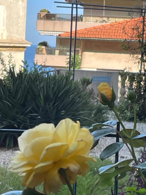 een gele bloem voor een gebouw bij Studio jardin 5 mn plage Monaco Air Conditioner in Beausoleil