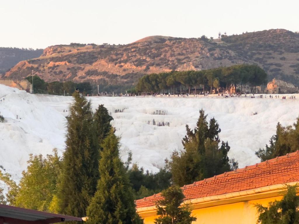 widok na pokryty śniegiem lodowiec z drzewami w obiekcie Grand Atlas Hotel w mieście Pamukkale