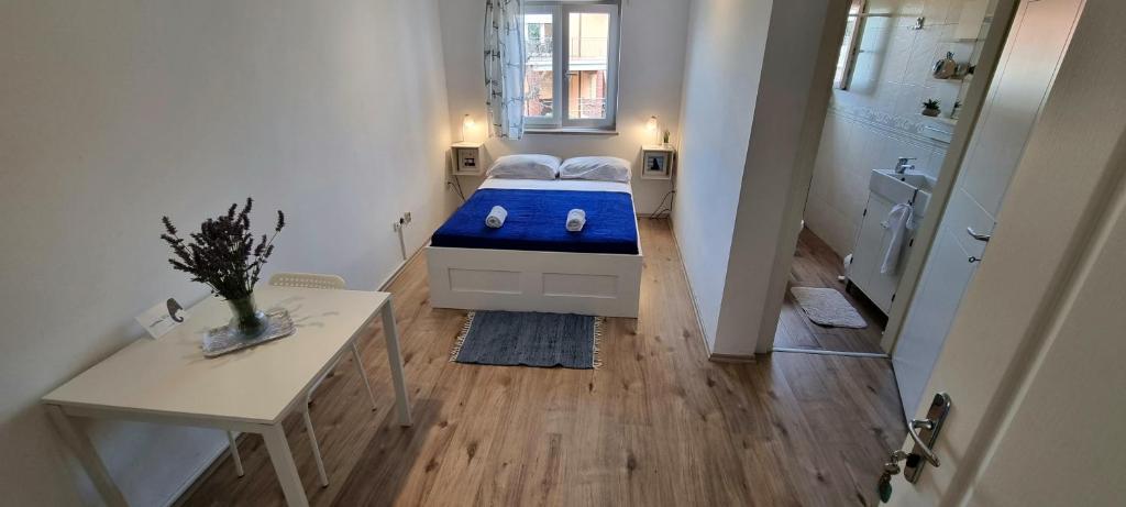 Tiny Studio Big living