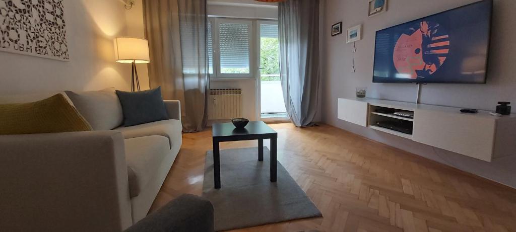 Televízia a/alebo spoločenská miestnosť v ubytovaní Apartment Sarita