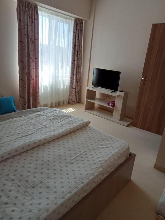 um quarto com uma cama e uma televisão de ecrã plano em apartament bloc joylife 18 em Costinesti