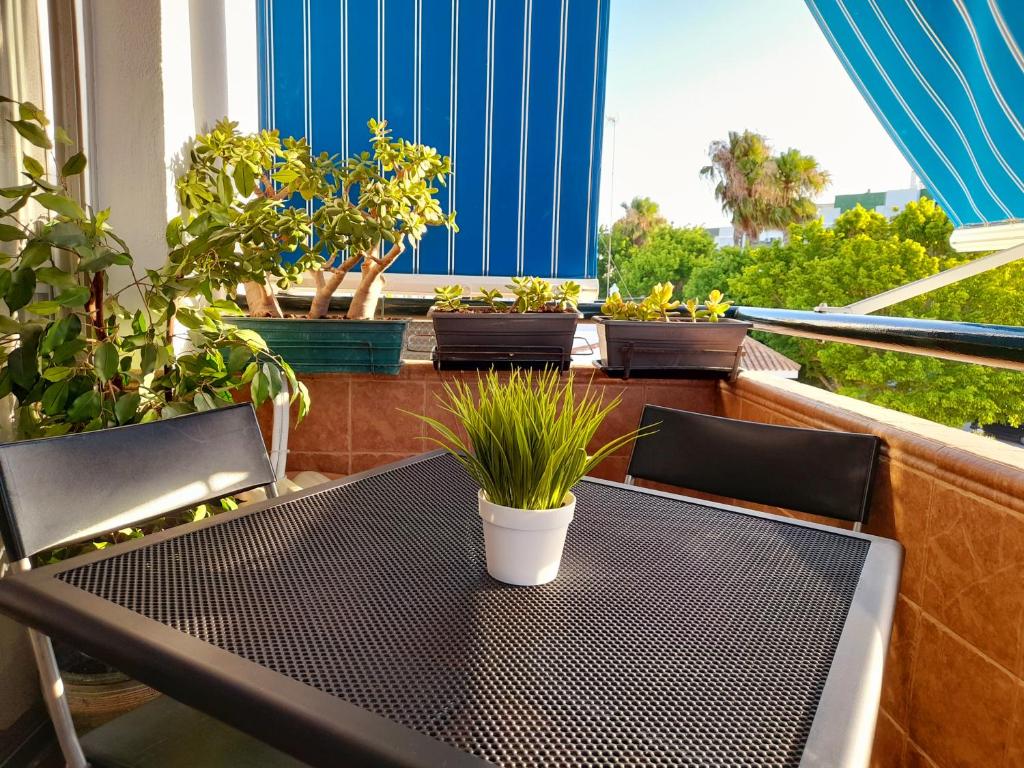 Mi rincón de Rota في روتا: طاولة وكراسي على شرفة مع نباتات الفخار