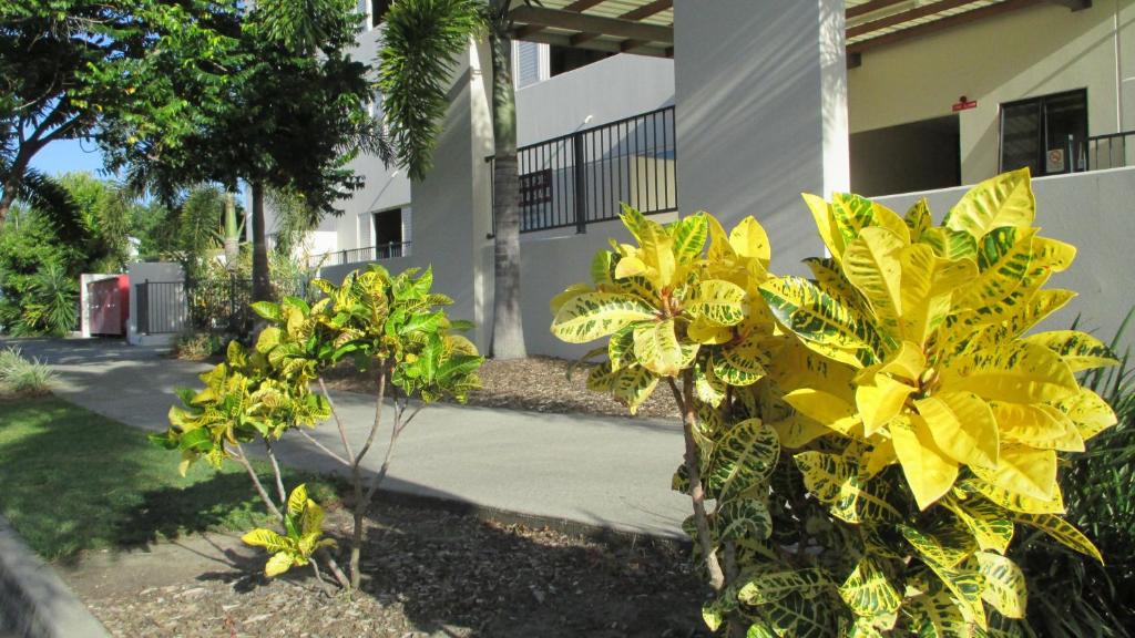 Edge Apartments Cairns - Resim 31