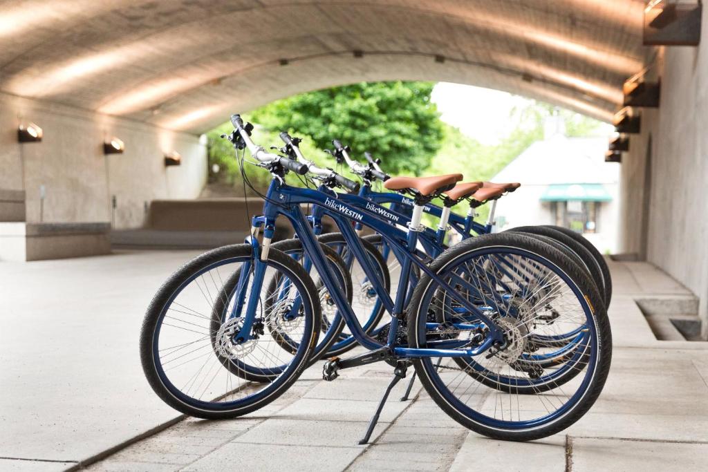 The Westin Ottawa - Resim 34