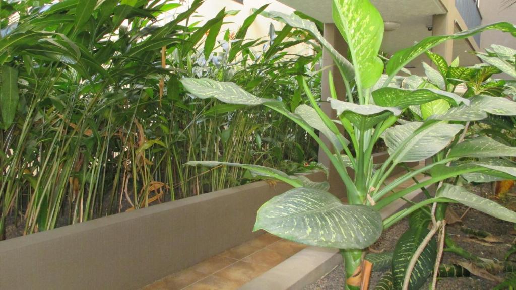 Edge Apartments Cairns - Resim 45