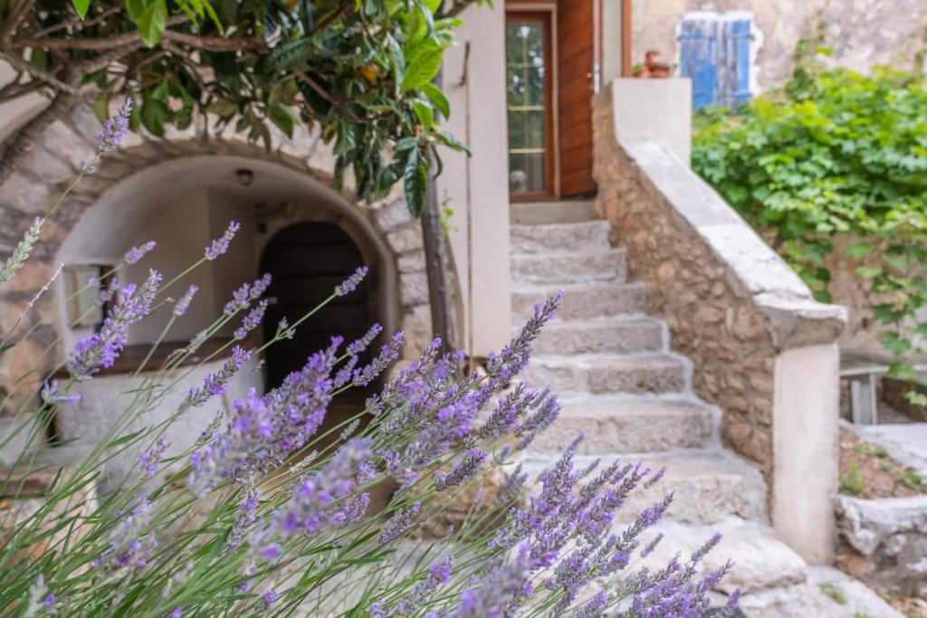 Zahrada ubytování Casa Angelo