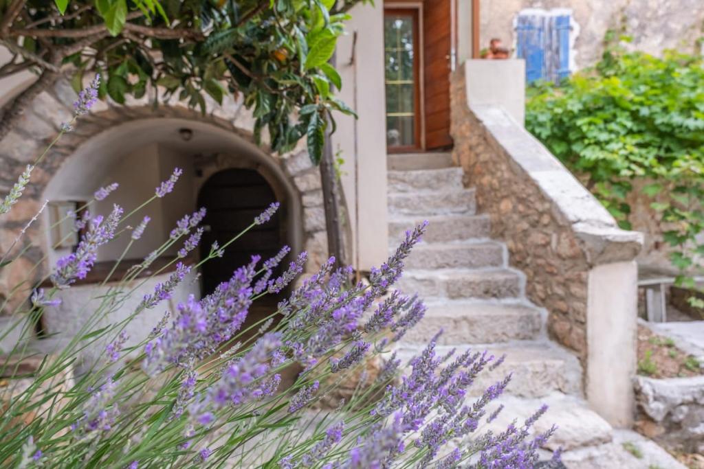 a set of stairs leading to a house with purple flowers at Casa Angelo in Nerezine