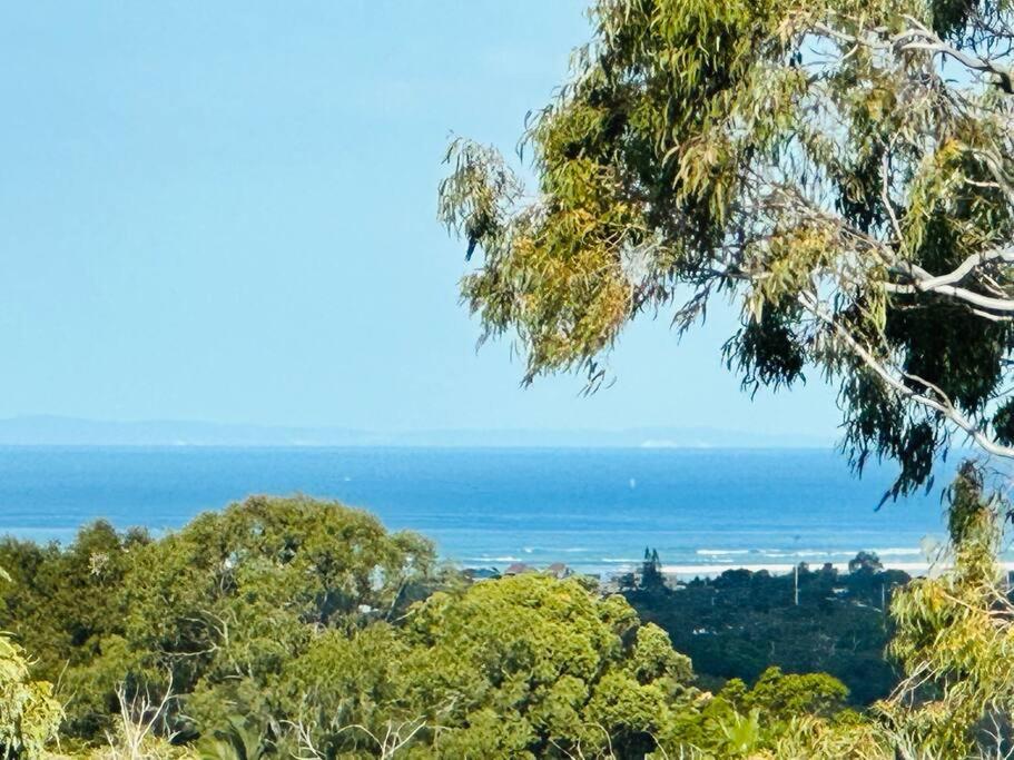 a view of the ocean from the top of a tree at Ocean View 3 bedroom entire house central of Caloundra in Caloundra West