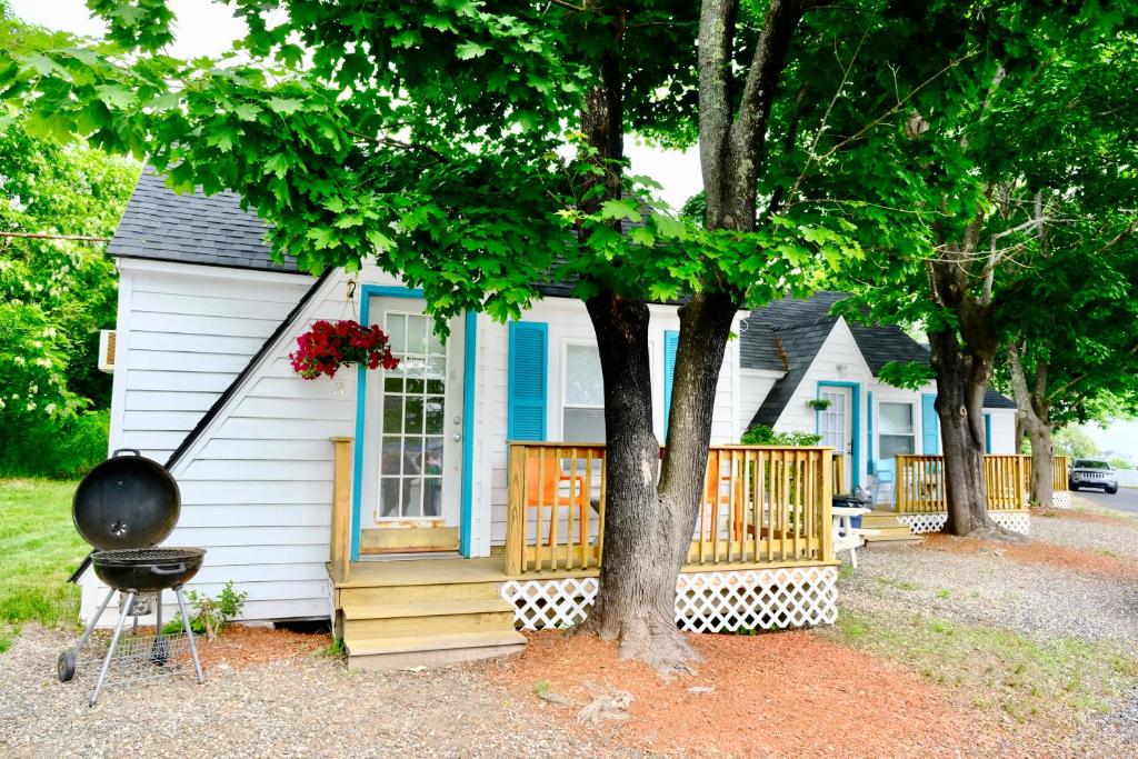 a small white and blue house with a tree at The Landings Inn and Cottages at Old Orchard Beach in Old Orchard Beach