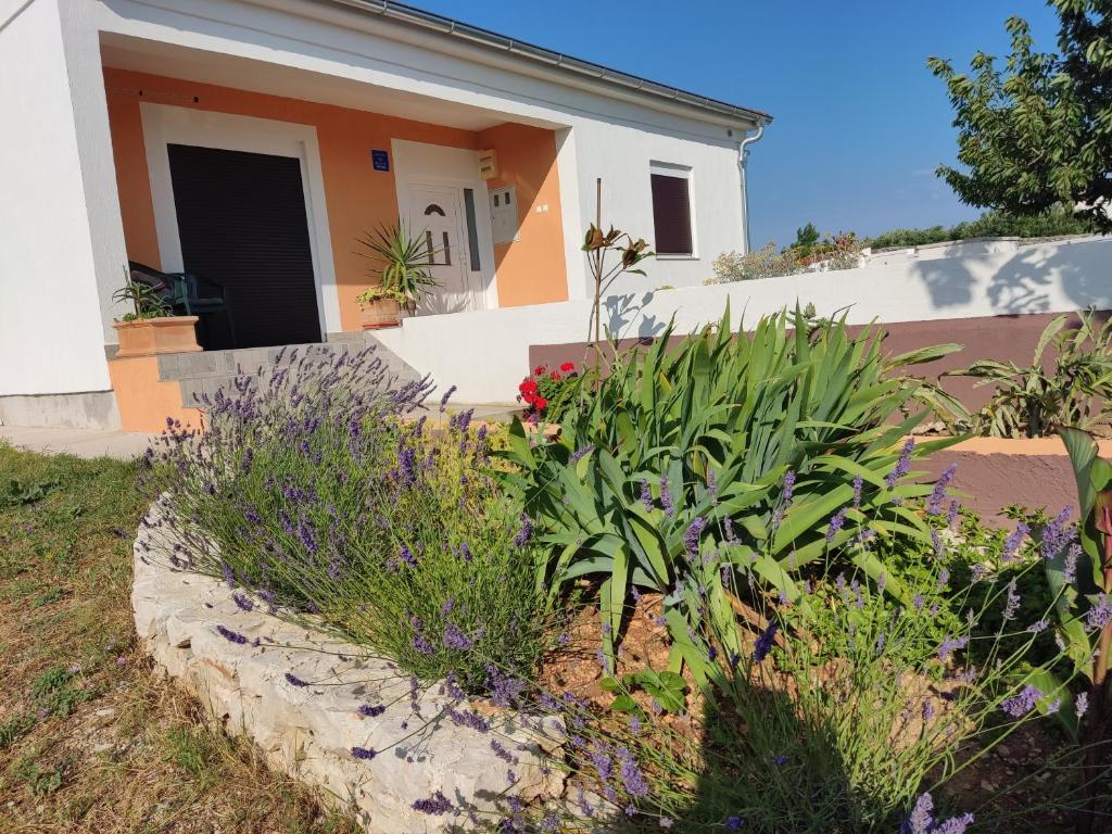 Vonkajšia záhrada v ubytovaní Villa Belvedere