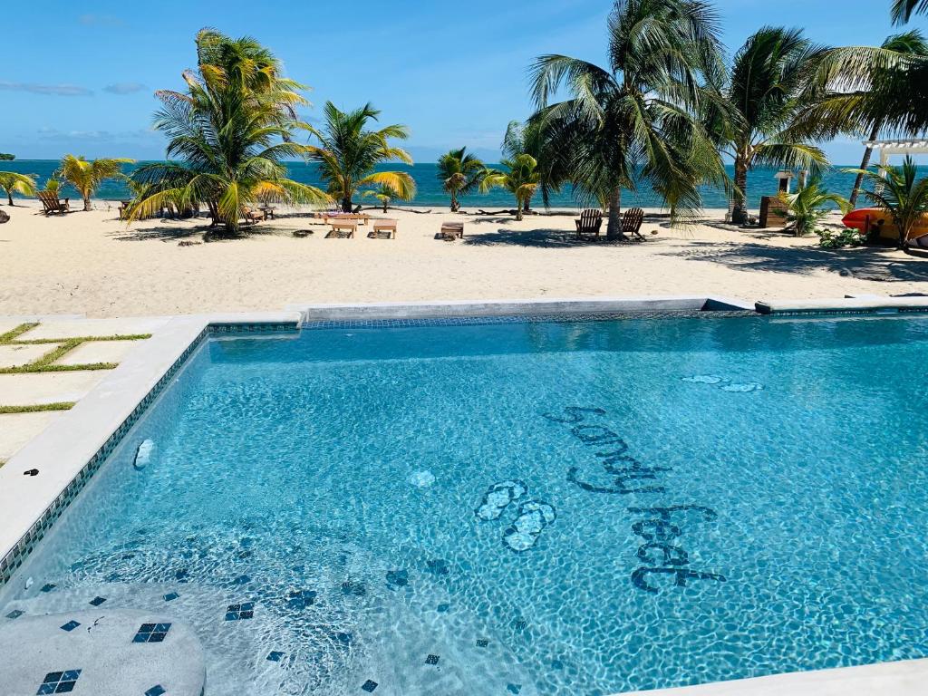 a swimming pool next to a beach with palm trees at Sandy Feet Beach Resort in Placencia Village