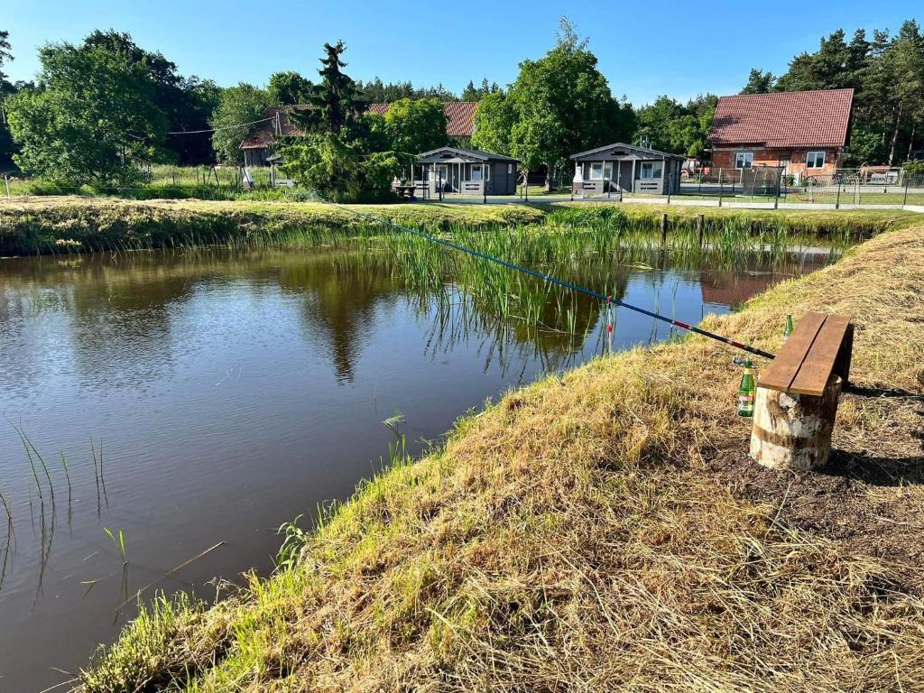 a bench on the side of a river with a fishing pole at Sosnowy Zakątek Stegna- domki letniskowe in Stegna