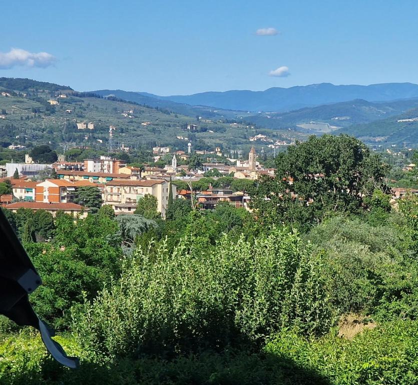 Blick auf eine Stadt von einem Hügel mit Bäumen in der Unterkunft House Pierina in Florenz