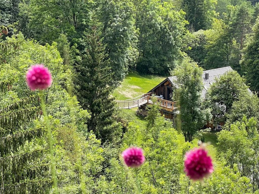 uma casa no meio de um campo com flores em CHAMBRES D'HÔTES LES CHAMBRES D'ELSA em Albiez-Montrond