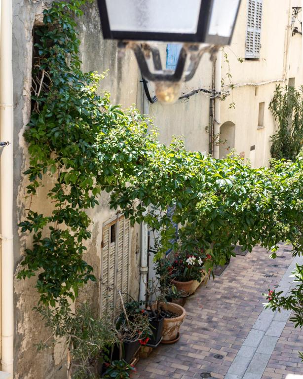 an alley with potted plants on the side of a building at Appartement le Quai du Port Cassis parking clim in Cassis