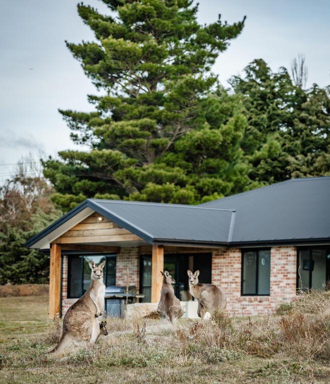 Basalt House, Jindabyne Updated 2023 Prices