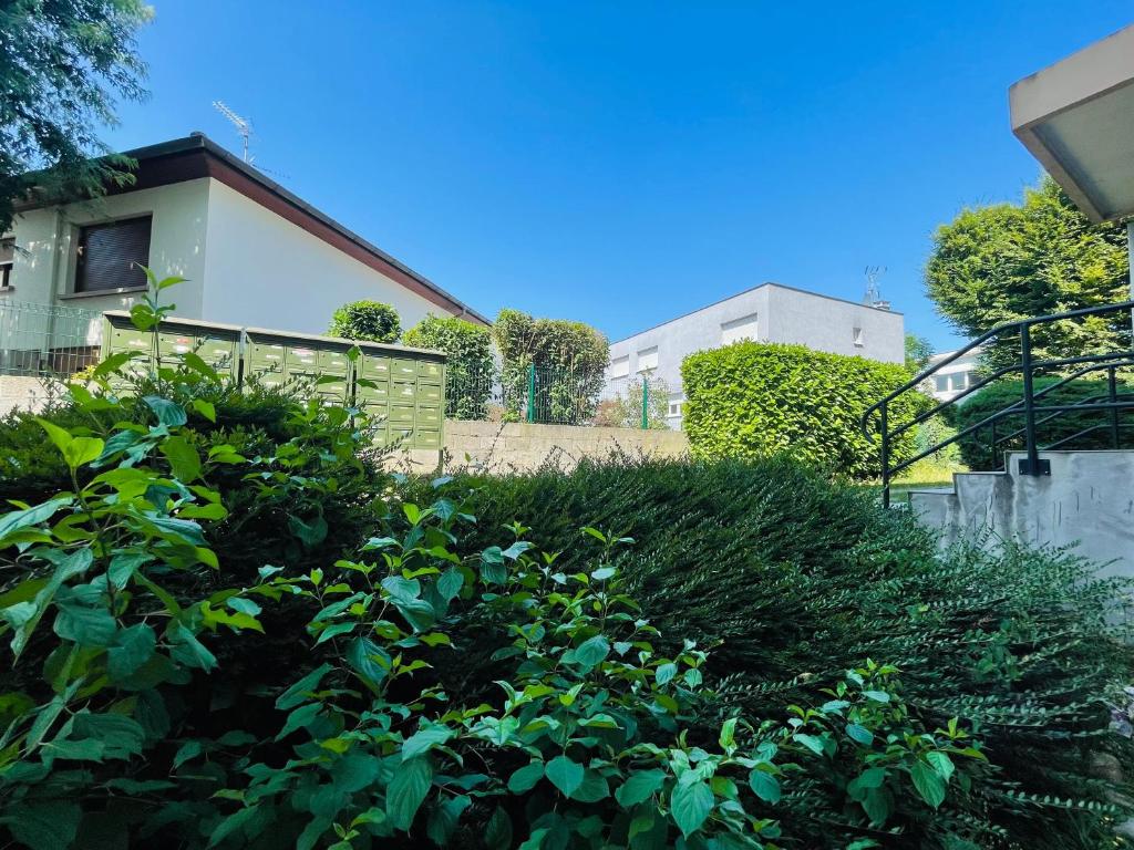 Modern Studio - WiFi, Parking, Near Basel & Airport - Portable AC, dishwasher, washing machine – photo 17