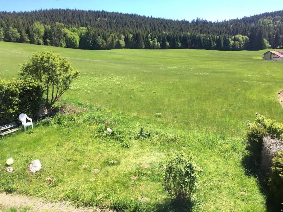 a large green field with a white chair in it at Natur Pur im Hochschwarzwald in Herrenschwand