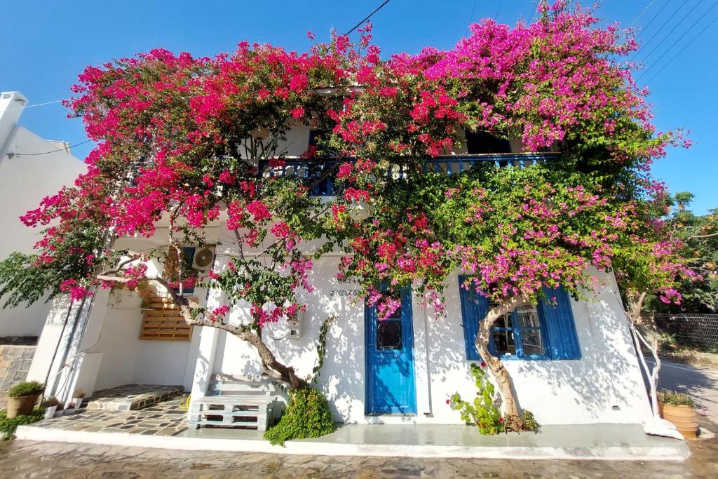 a white house with pink flowers on it at Chez Cécile Home in Mochlos