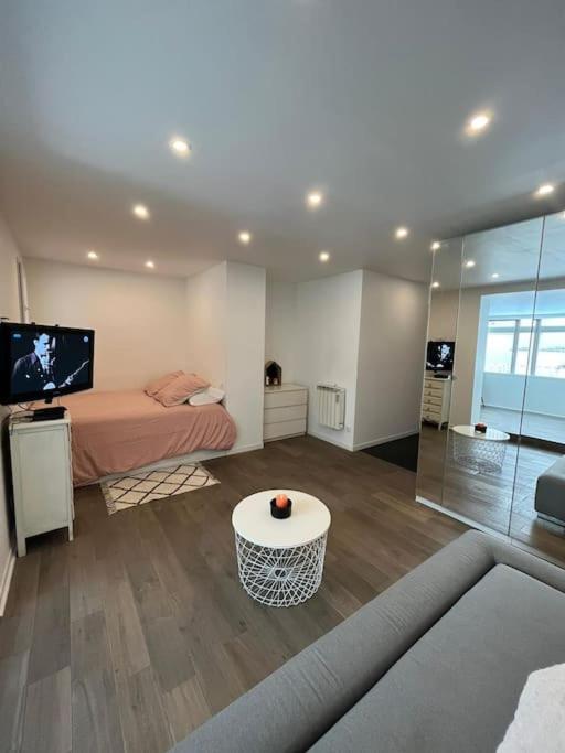 une chambre avec un lit, une télévision et un canapé dans l'établissement Hyper-centre - Appartement cosy, Fibre - CLIM, à Grenoble