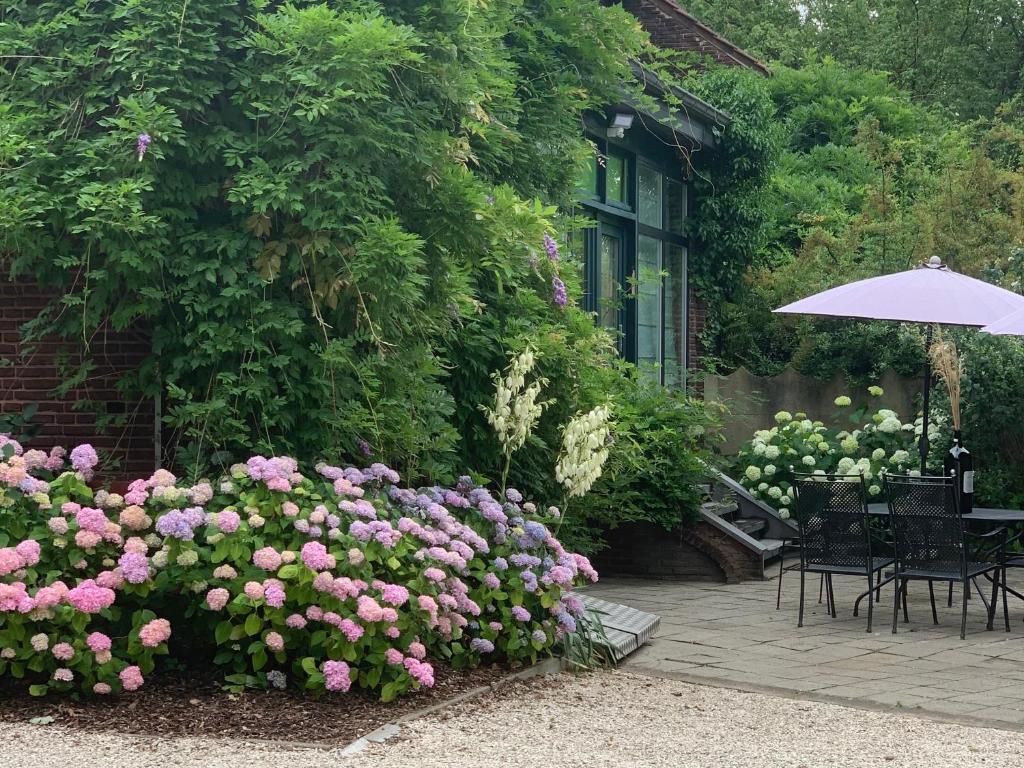 Zahrada ubytování Vakantiewoning Guesthouse MOMO