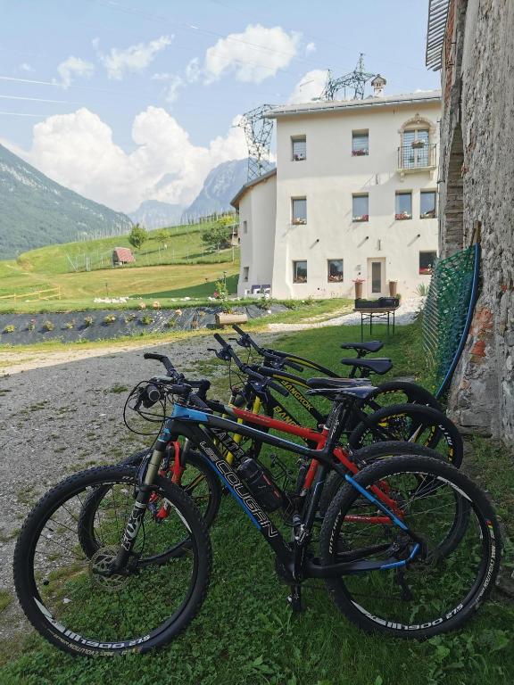 Jazda na bicykli v okolí ubytovania Casa BORRIERO Farmhouse Charme B&B