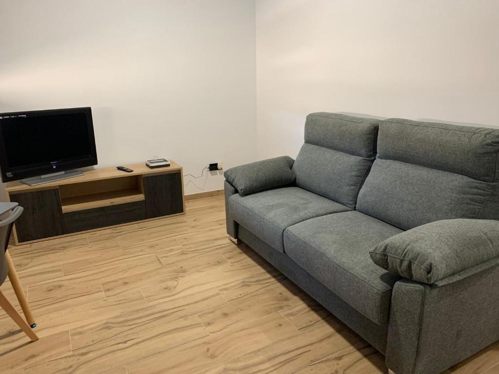 sala de estar con sofá y TV de pantalla plana en Apartamentos el Sabinar, en Anchuela del Campo