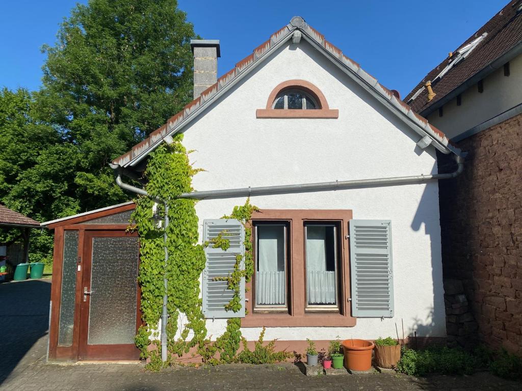uma casa branca com uma janela e videiras em Einfache Unterkunft em Michelstadt
