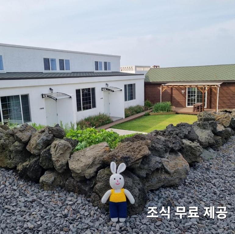 제주를 담다 용눈이…