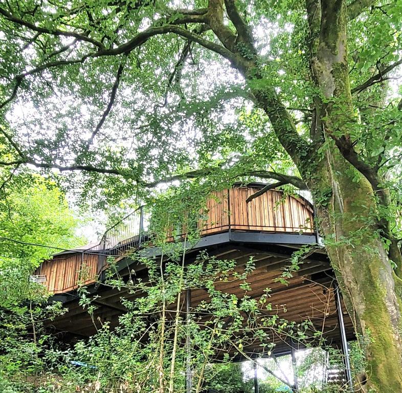 a tree house with a deck on top of it at Treehouse in Devon - 2 bedrooms in Beaworthy