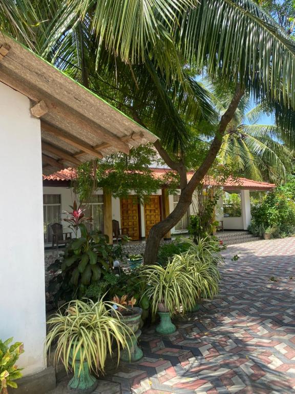 Zahrada ubytování Island Breeze Inn