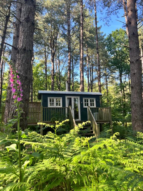 GrimstonにあるKing Nutkin Shepherds Hutのベンチ付き小屋