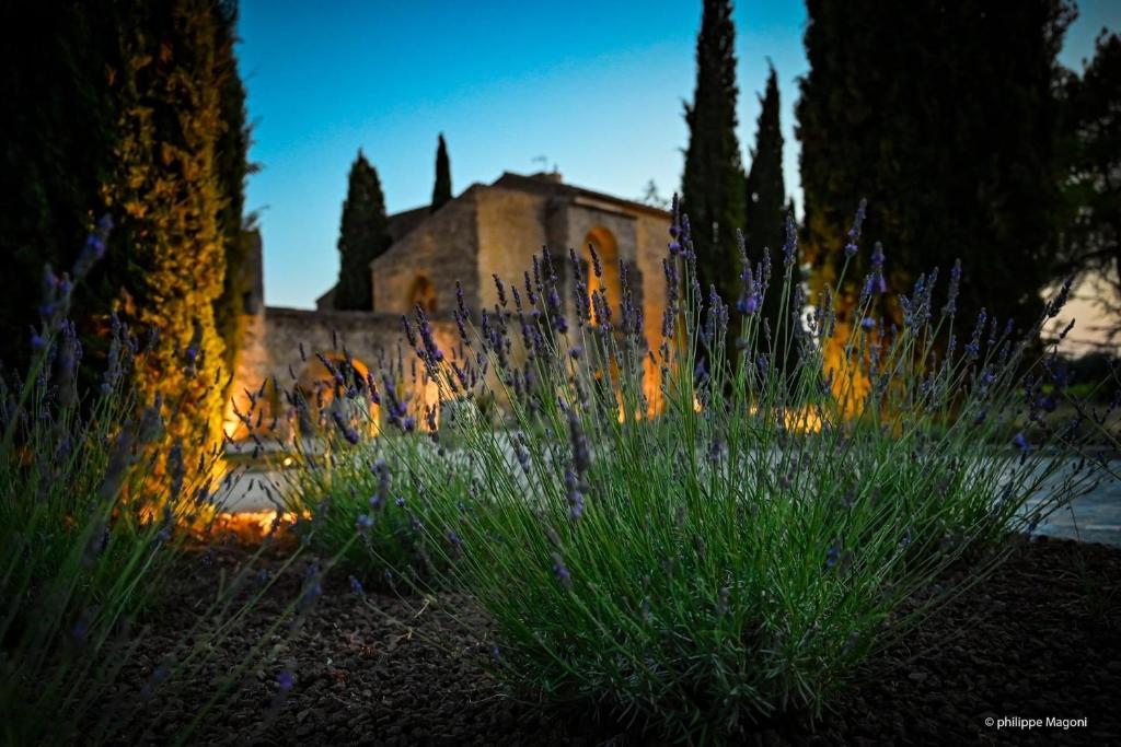 a garden with purple flowers in front of a building at Château Saint-Pierre de Mejans in Puyvert