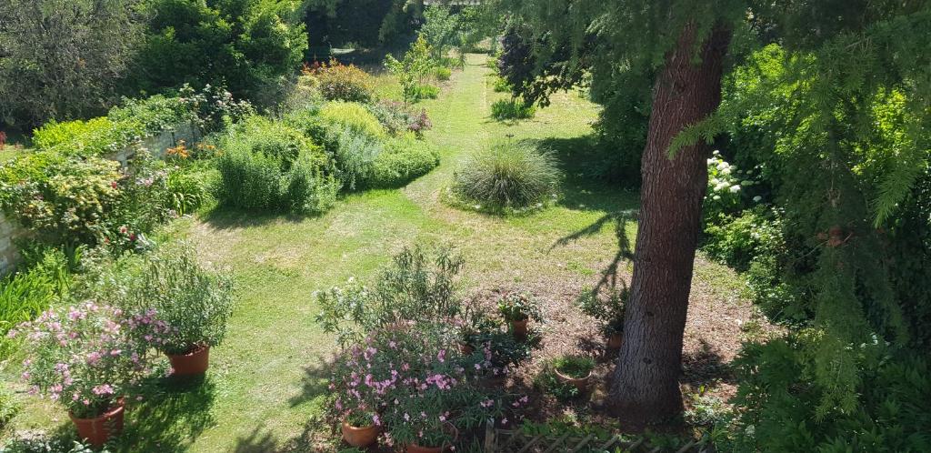 Elle offre une vue sur un jardin agrémenté de plantes et d'un arbre. dans l'établissement Maison Anne face to park in Vernon Giverny, à Vernon