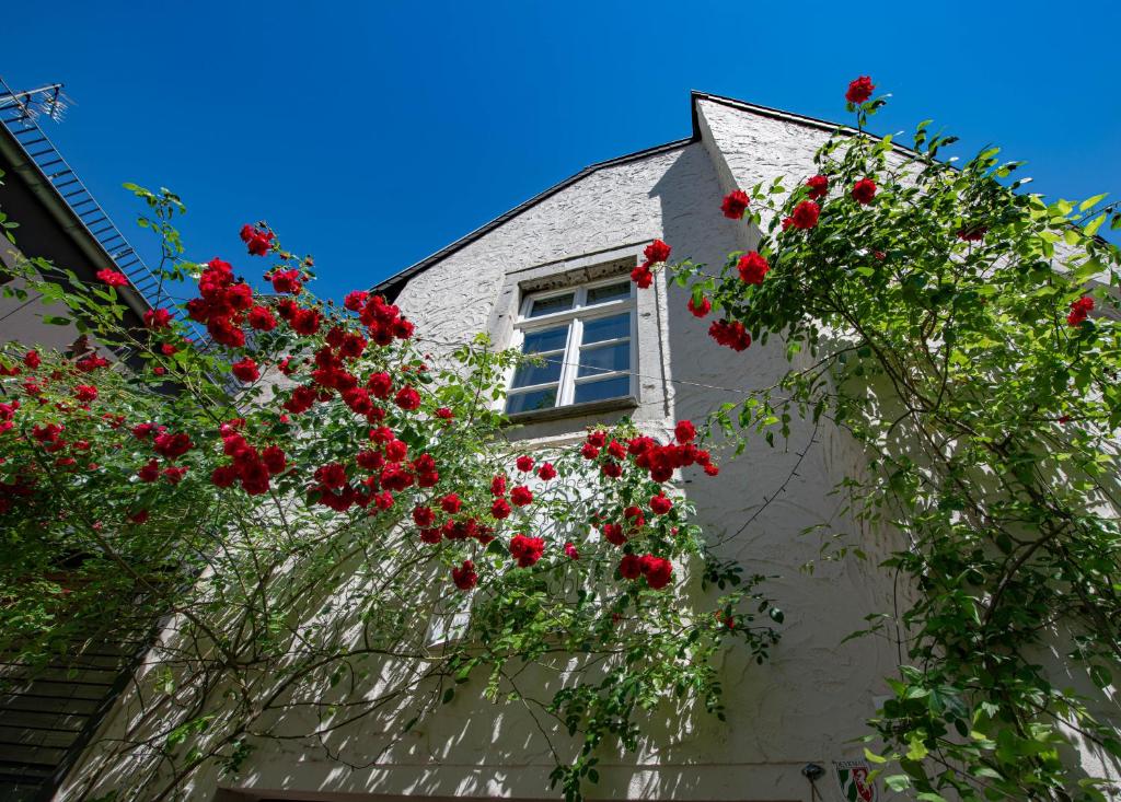 a window on a building with red flowers at Gästehaus Vanille & Chocolat in Stolberg